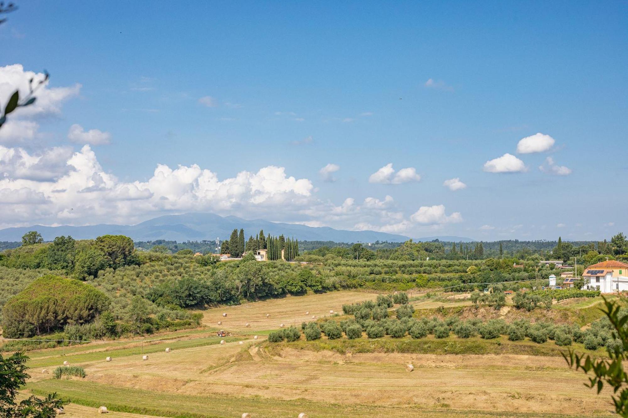 Fienile Cipresso, Art Of Living Tuscany Torre Eksteriør billede